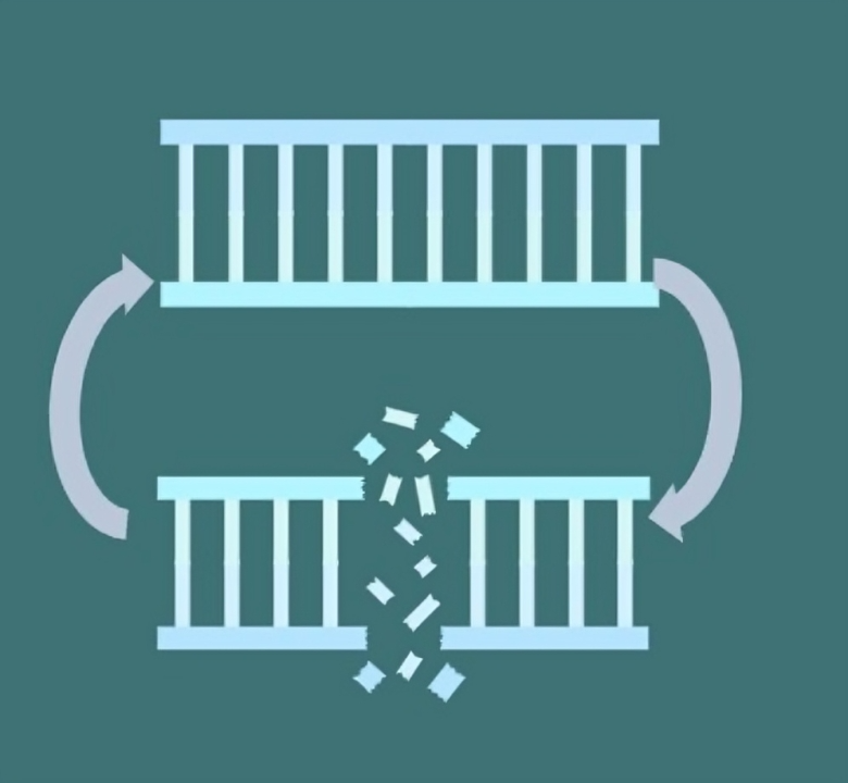 Mutation Inducer icon